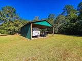 2869 Turkey Cut Road - Photo 43