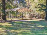 2869 Turkey Cut Road - Photo 50