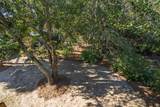 1303 Palmetto Boulevard - Photo 33