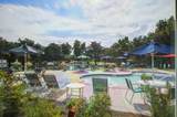 11 Stutz Court - Photo 46
