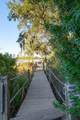 150 Wappoo Creek Drive - Photo 61