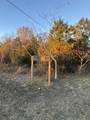 13671 Old Number Six Hwy Highway - Photo 12