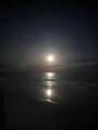 1217 Ashley Avenue - Photo 8