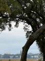 1083 Fort Sumter Dr. - Photo 24