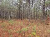 00 Calamus Pond Road - Photo 4