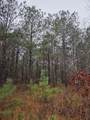 00 Calamus Pond Road - Photo 7