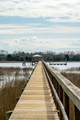 8107 Doar Road - Photo 79