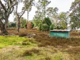 103 Whitfield Street - Photo 4