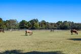 2413 Racquet Club Drive - Photo 43