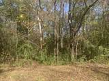 Lot 21 Mary Ellie Drive - Photo 2