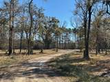 0 Allandale Plantation Road - Photo 8