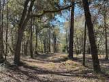 0 Allandale Plantation Road - Photo 9