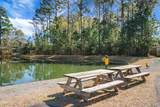 3034 Scuba Drive - Photo 59