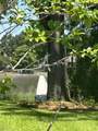 2349 Town Woods Road - Photo 5