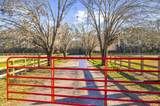 163 Keans Neck Road - Photo 10