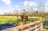 163 Keans Neck Road - Photo 11