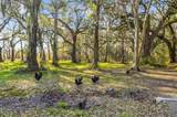 163 Keans Neck Road - Photo 12