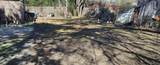 7424 Rock Street - Photo 2