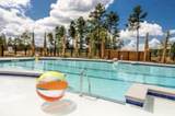 1026 Patagonia Street - Photo 35