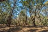 4066 Gnarled Oaks Lane - Photo 15