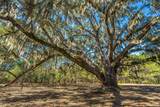 4129 Gnarled Oaks Lane - Photo 10