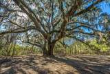 4129 Gnarled Oaks Lane - Photo 11