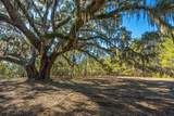 4129 Gnarled Oaks Lane - Photo 12