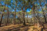 4129 Gnarled Oaks Lane - Photo 20