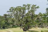 4129 Gnarled Oaks Lane - Photo 41