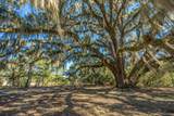 4129 Gnarled Oaks Lane - Photo 5