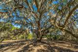 4129 Gnarled Oaks Lane - Photo 6