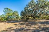 4129 Gnarled Oaks Lane - Photo 7