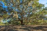 4129 Gnarled Oaks Lane - Photo 8