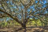4129 Gnarled Oaks Lane - Photo 9
