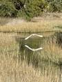 4020 Marshwalk Trace - Photo 33