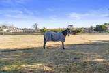 2111 Landfall Way - Photo 51