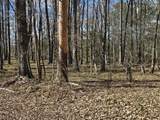 271 Winningham Road - Photo 17