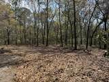 6321 Bears Bluff Road - Photo 1