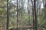 6321 Bears Bluff Road - Photo 10