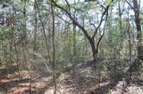 6321 Bears Bluff Road - Photo 11