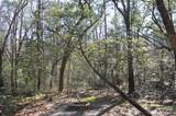 6321 Bears Bluff Road - Photo 13