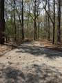 6321 Bears Bluff Road - Photo 2