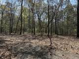 6321 Bears Bluff Road - Photo 3