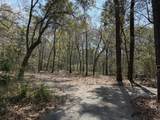 6321 Bears Bluff Road - Photo 5