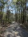 6321 Bears Bluff Road - Photo 7