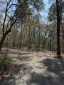 6321 Bears Bluff Road - Photo 9
