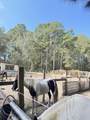 696 Bedon Road - Photo 5