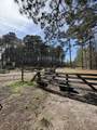 696 Bedon Road - Photo 8