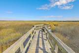 2418 Lilytree Drive - Photo 49