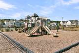 1017 Field Sparrow Drive - Photo 44